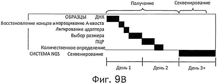 Прямой захват, амплификация и секвенирование днк-мишени с использованием иммобилизированных праймеров (патент 2565550)