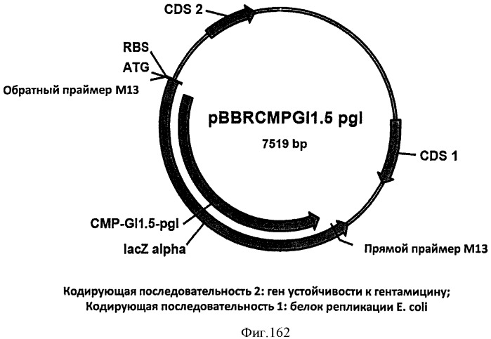 Топливные композиции, содержащие производные изопрена (патент 2531623)