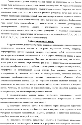 Чипы на основе антител для определения множественных трансдукторов сигналов в редких циркулирующих клетках (патент 2442171)