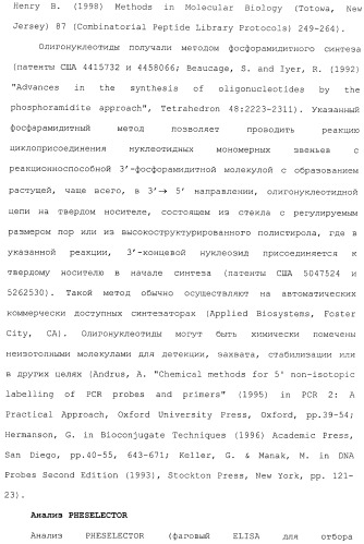 Антитела, сконструированные на основе цистеинов, и их конъюгаты (патент 2412947)