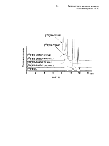 Радиоактивно меченые пептиды, связывающиеся с her2 (патент 2592685)