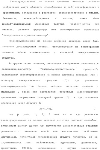 Антитела, сконструированные на основе цистеинов, и их конъюгаты (патент 2412947)