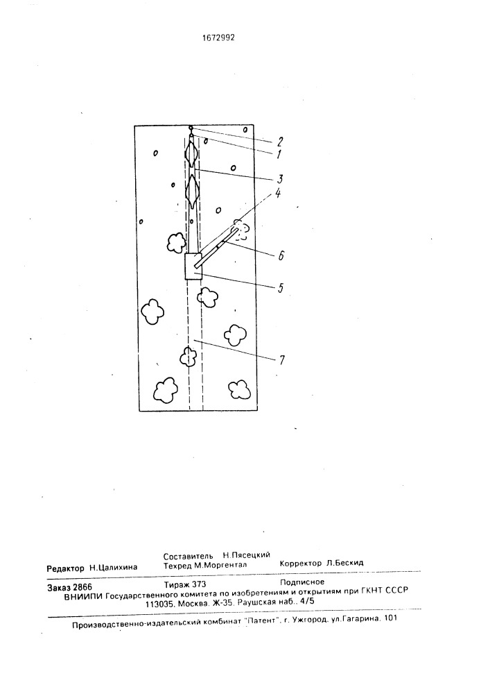 Способ разработки лесосек (патент 1672992)