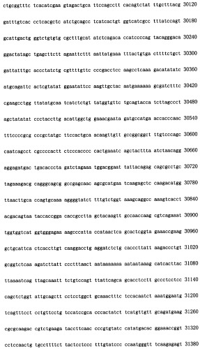 Конструирование рекомбинанта онколитического аденовируса, специфически экспрессирующего иммуномодуляторный фактор gm-csf в опухолевых клетках, и его применение (патент 2361611)
