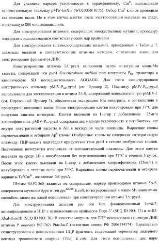 Бактерия, принадлежащая к роду pantoea, - продуцент l-аспартата или метаболита, являющегося производным l-аспартата, и способ получения l-аспартата или метаболита, являющегося производным l-аспартата (патент 2411289)