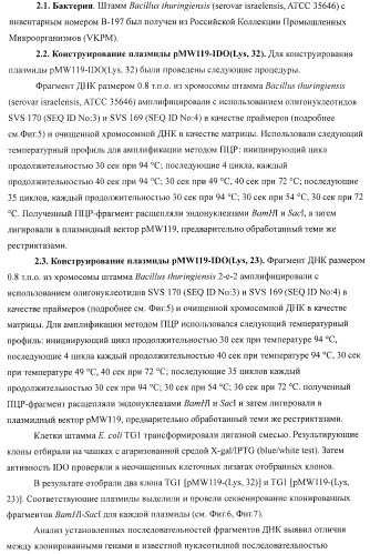 Способ продукции 4-гидрокси-l-изолейцина (патент 2402608)