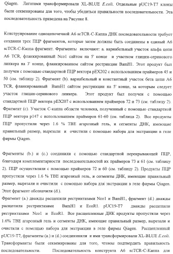 Экспонирование т-клеточных рецепторов (патент 2346004)