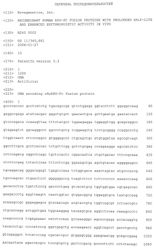 Рекомбинантный слитый человеческий белок epo-fc с продленным временем полужизни и повышенной эритропоэтической активностью in vivo (варианты), димерная белковая конструкция, димерный белок, фармацевтическая композиция, последовательность нуклеиновой кислоты (варианты), вектор экспрессии, клетка, способ получения белка и способ стимуляции эритропоэза у млекопитающего (патент 2433181)