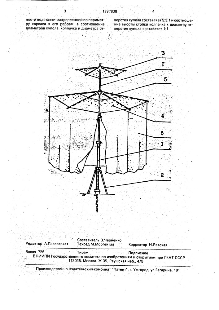 Пляжный зонт (патент 1797838)