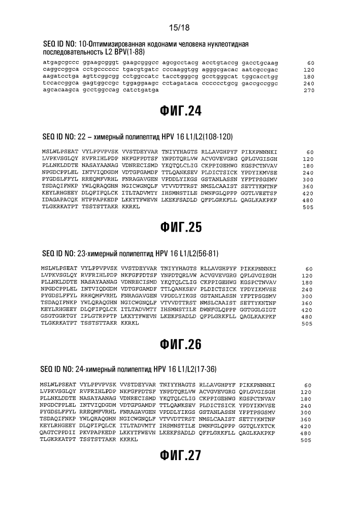 Химерная частица hpv (патент 2642287)