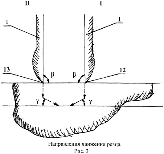 Способ дифференцированного извлечения ростральных и каудальных частей миндалевидного комплекса мозга и устройство для его осуществления (патент 2487673)
