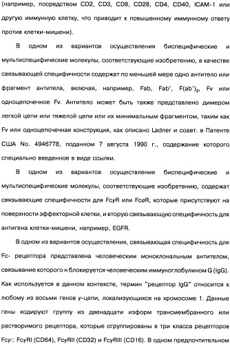 Человеческие моноклональные антитела к рецептору эпидермального фактора роста (egfr), способ их получения и их использование, гибридома, трансфектома, трансгенное животное, экспрессионный вектор (патент 2335507)