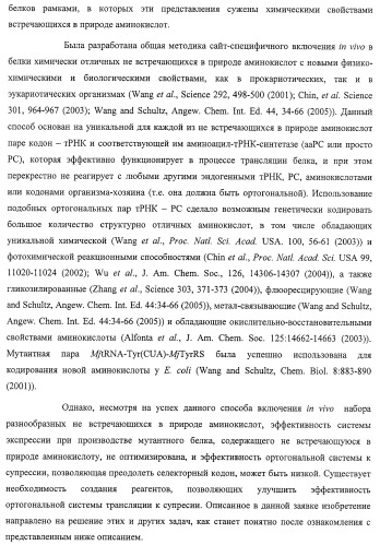 Система экспрессии компонентов ортогональной трансляции в эубактериальной клетке-хозяине (патент 2467069)