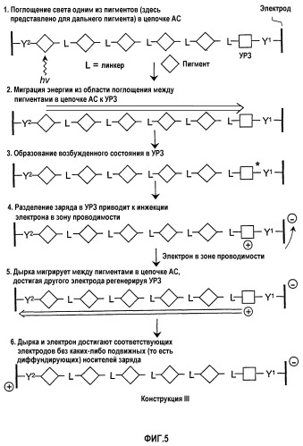 Солнечные элементы, включающие в себя цепочки для аккумуляции света (патент 2264677)