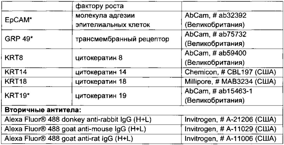 Способ культивирования клеток слюнной железы человека (патент 2631005)