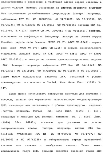 Способы лечения болезни альцгеймера с использованием антител, направленных против пептида амилоида-бета, и их композиций (патент 2353389)