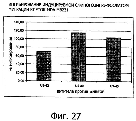 Белки, связывающие антиген фактор роста, подобный гепаринсвязывающему эпидермальному фактору роста (патент 2504551)