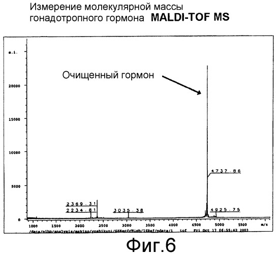 Гонадотропный гормон, полученный из беспозвоночных, и его синтез (патент 2349601)