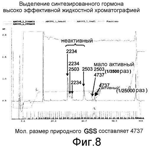 Гонадотропный гормон, полученный из беспозвоночных, и его синтез (патент 2349601)