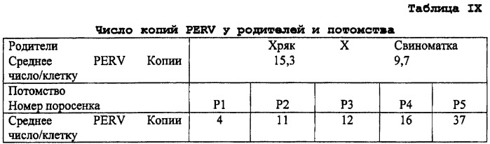 Популяция свиней с низкими уровнями свиного эндогенного ретровируса и ее применения (патент 2412592)