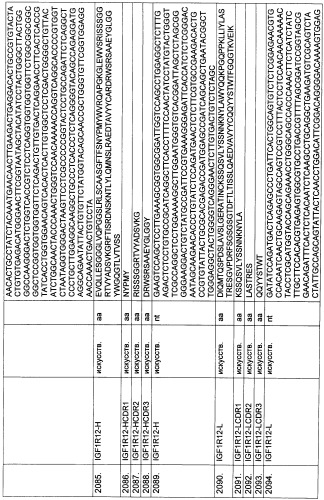 Pscaxcd3, cd19xcd3, c-metxcd3, эндосиалинxcd3, epcamxcd3, igf-1rxcd3 или fap-альфаxcd3 биспецифическое одноцепочечное антитело с межвидовой специфичностью (патент 2547600)