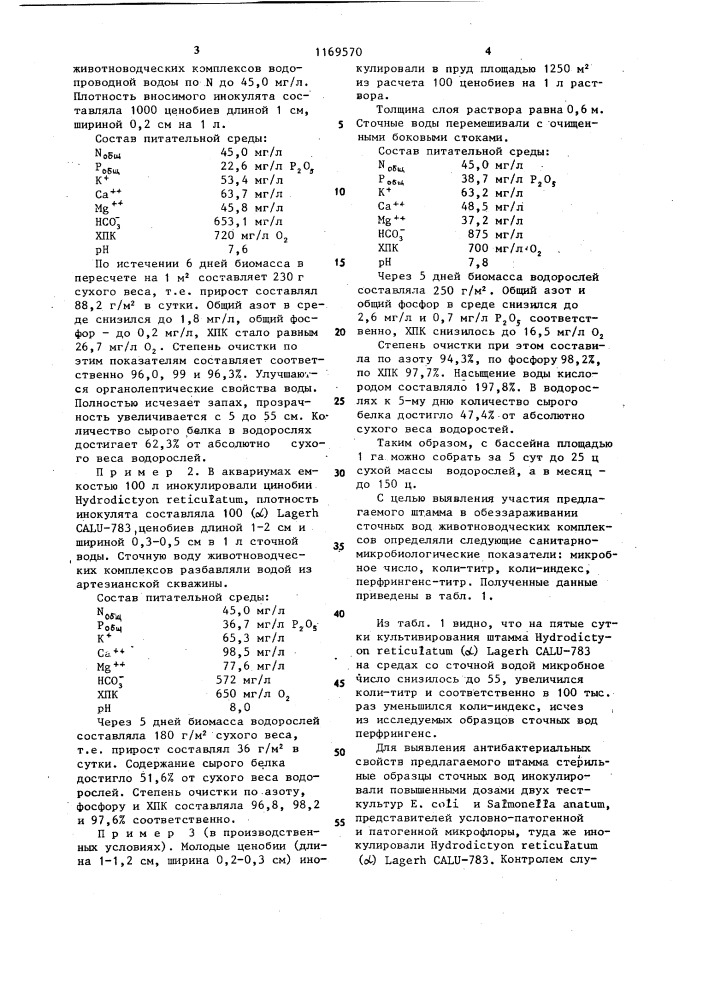 Штамм ценобиальной хлорококковой водоросли @ @ ( @ ) @ @ - 783,используемый для получения зеленой массы и очистки сточных вод (патент 1169570)