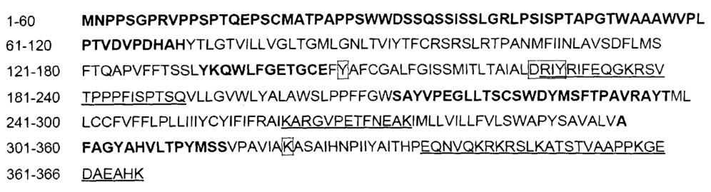 Светочувствительный химерный белок gpcr (патент 2637367)