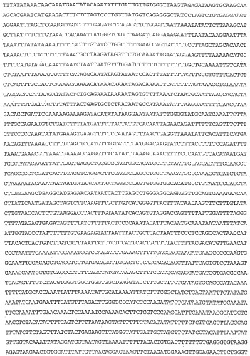 Применение s1p (патент 2362565)