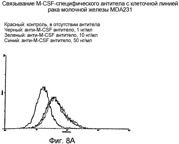 Не мышиное анти-m-csf-антитело (варианты), его получение и использование (патент 2401277)