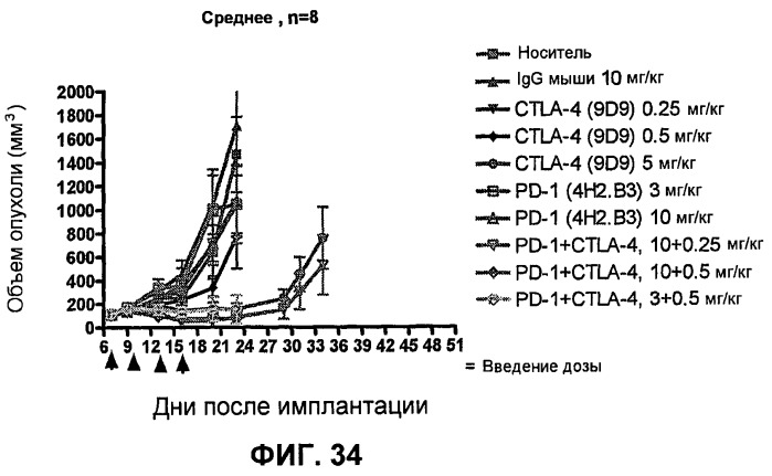 Моноклональные антитела человека к белку программируемой смерти 1 (pd-1) и способы лечения рака с использованием анти-pd-1-антител самостоятельно или в комбинации с другими иммунотерапевтическими средствами (патент 2494107)