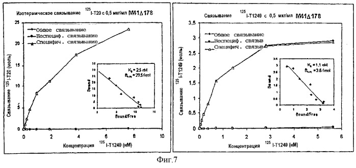 Гибридные полипептиды с усиленными фармакокинетическими свойствами (патент 2279883)