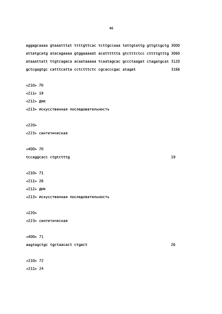 Мыши с гуманизированной универсальной легкой цепью (патент 2664232)