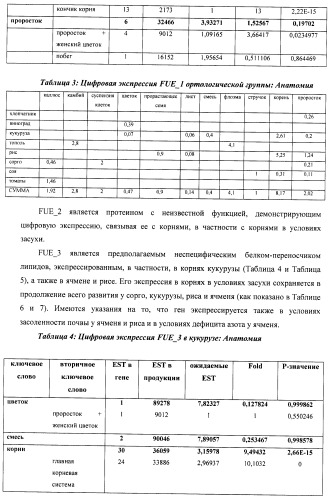 Изолированные полипептиды, кодирующие их полинуклеотиды, экспрессирующие их трансгенные растения и способы их использования (патент 2487166)
