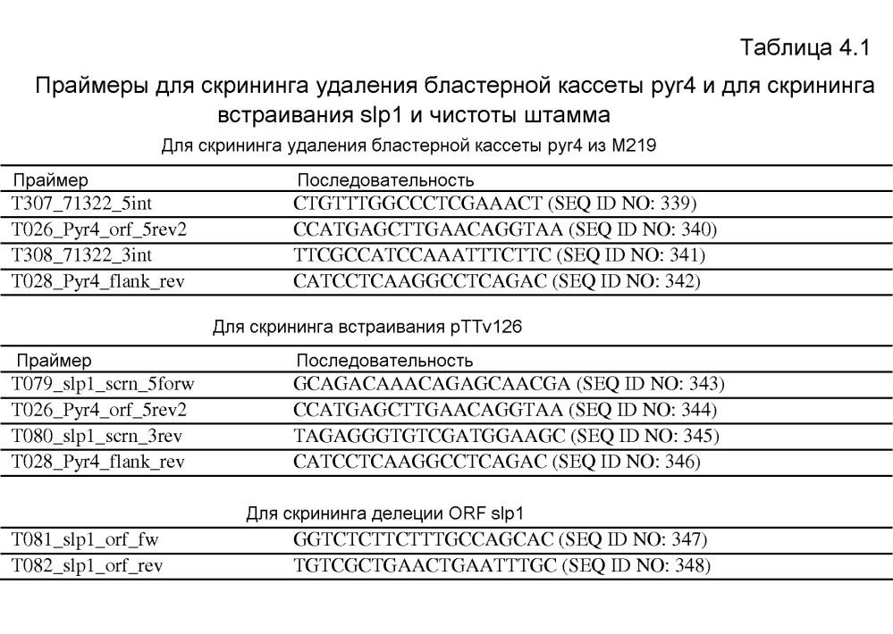 Клетка нитчатых грибов с дефицитом протеаз и способы ее применения (патент 2645252)