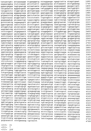 Улучшенная продукция белка в bacillus (патент 2515112)