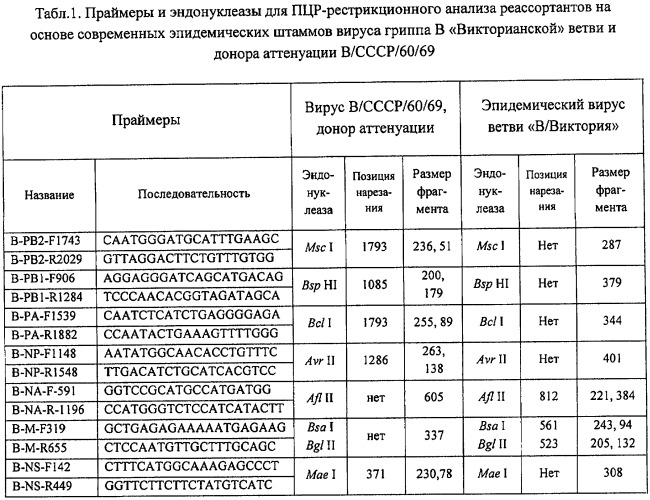 Вакцинный штамм вируса гриппа в/60/брисбен/08/83 для производства живой гриппозной интраназальной вакцины для взрослых и для детей (патент 2422517)