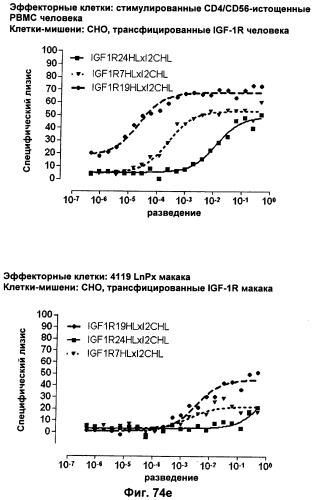 Pscaxcd3, cd19xcd3, c-metxcd3, эндосиалинxcd3, epcamxcd3, igf-1rxcd3 или fap-альфаxcd3 биспецифическое одноцепочечное антитело с межвидовой специфичностью (патент 2547600)