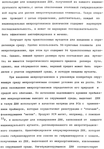 Vgc2 днк salmonella typhimurium, мутантная бактерия, обладающая пониженной способностью к адаптации к условиям окружающей среды, и способ ее получения (патент 2370541)