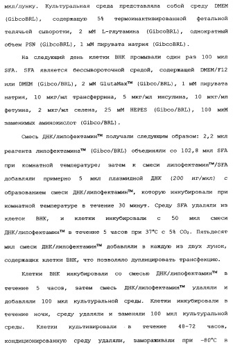Новый лиганд рецептора цитокина zcytor17 (патент 2360923)