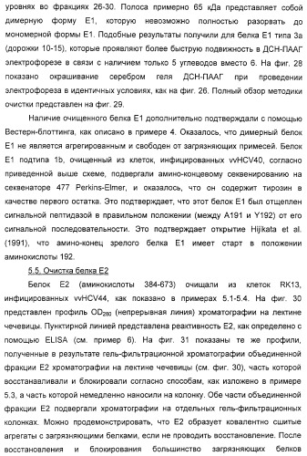 Очищенные белки оболочки вируса гепатита с для диагностического и терапевтического применения (патент 2313363)