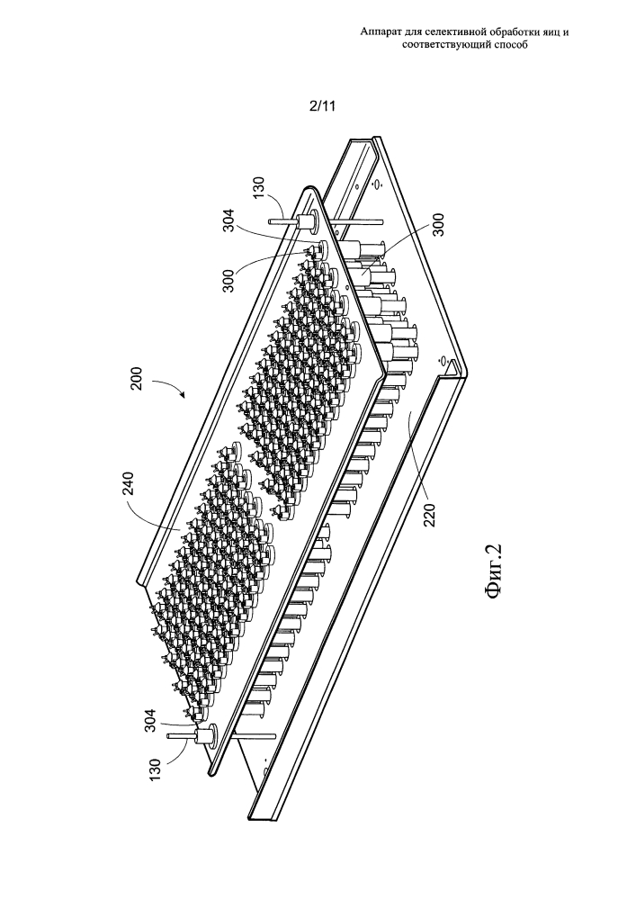 Аппарат для селективной обработки яиц и соответствующий способ (патент 2623236)