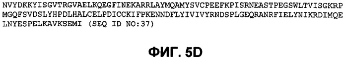 Бактериальные факторы вирулентности и варианты их применения (патент 2465331)