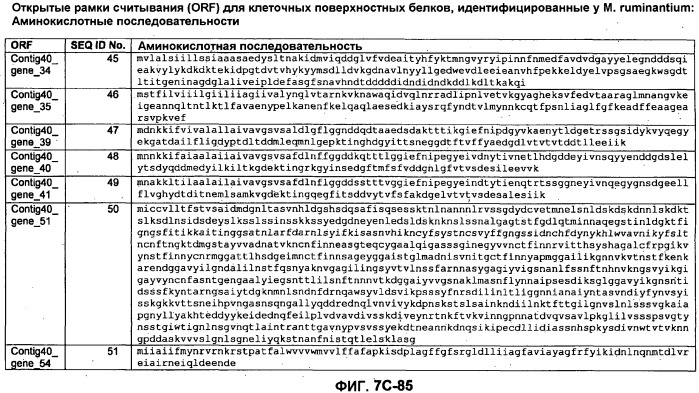 Вакцины и компоненты вакцин для подавления микробных клеток (патент 2528854)