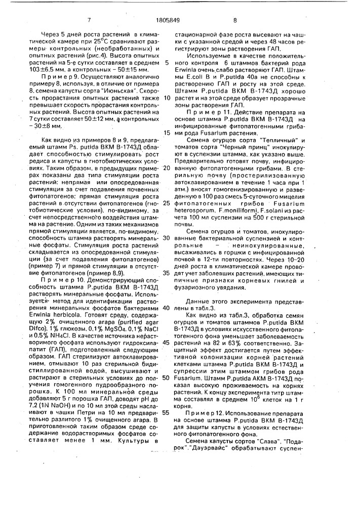 Штамм бактерий рsеudомоnаs рuтidа для получения препарата, используемого для стимуляции роста растений и защиты растений от грибов рода fusаriuм и бактерий erwinia (патент 1805849)