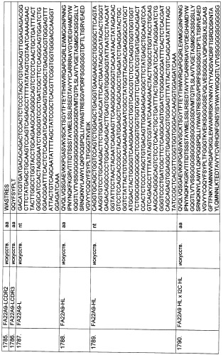 Pscaxcd3, cd19xcd3, c-metxcd3, эндосиалинxcd3, epcamxcd3, igf-1rxcd3 или fap-альфаxcd3 биспецифическое одноцепочечное антитело с межвидовой специфичностью (патент 2547600)