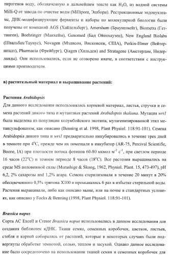 Молекулы нуклеиновых кислот, кодирующие wrinkled1-подобные полипептиды, и способы их применения в растениях (патент 2385347)