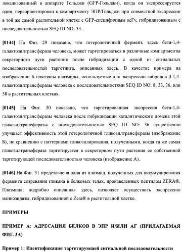 Набор последовательностей для таргетинга экспрессии и контроля посттрансляционных модификаций рекомбинантного полипептида (патент 2481399)