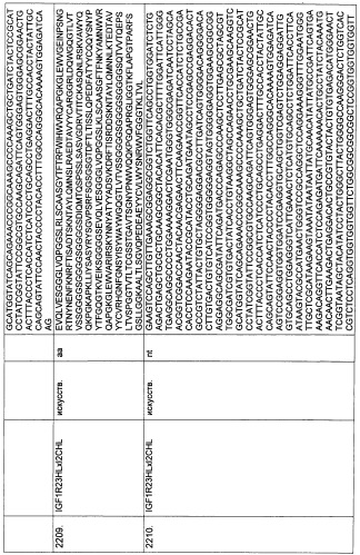 Pscaxcd3, cd19xcd3, c-metxcd3, эндосиалинxcd3, epcamxcd3, igf-1rxcd3 или fap-альфаxcd3 биспецифическое одноцепочечное антитело с межвидовой специфичностью (патент 2547600)