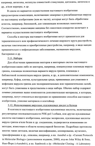 Способы и композиции для экспрессии антисмысловой вирусной рнк в клетках собаки (патент 2457250)
