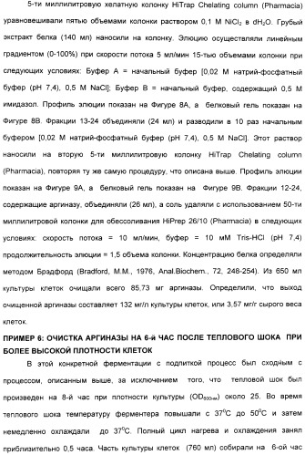 Фармацевтический препарат и способ лечения злокачественных опухолей у человека с помощью аргининовой депривации (патент 2335539)